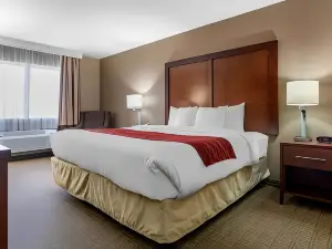 Comfort Inn & Suites Leeds I-20