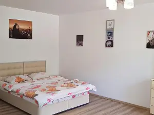 Apartment in Balti