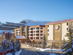 Cozy Pet-Friendly King Studio in Mt, Crested Butte Condo