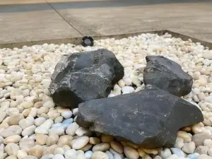 탭 더 룸 프로젝트