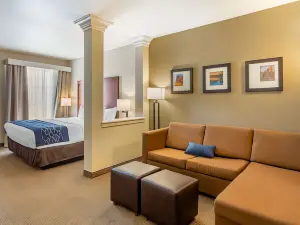 Comfort Suites Near Denver Downtown