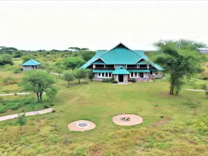 非洲Safari Serengeti Ikoma