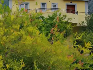 Apartments Ognjenović