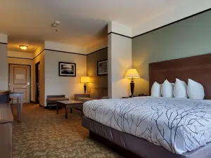 Best Western Plus Emory at Lake Fork Inn  Suites