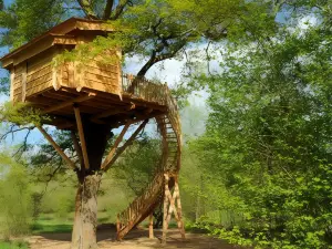 La Cabane du Vieux Chêne