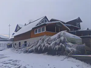 Apartments Igor