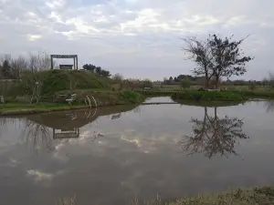 Los Furgones de Areco