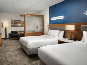 SpringHill Suites Pittsburgh Mt. Lebanon