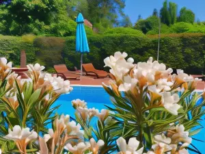 Hullám Villa B&B