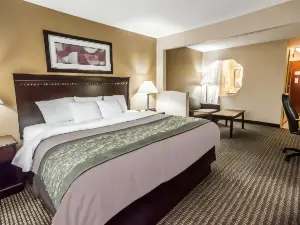 Econo Lodge Inn & Suites Monroe