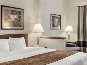 Comfort Inn Bismarck