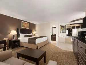 트래블로지 바이 윈덤 캄루프스 마운트뷰