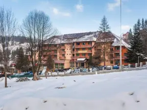 Hotel Bradul