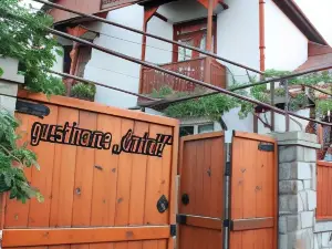 Guesthouse Dariali
