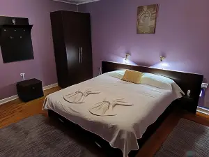 Cosy Apart Satu Mare