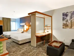 SpringHill Suites by Marriott Columbia Fort Meade Area
