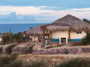 Palapas Ventana