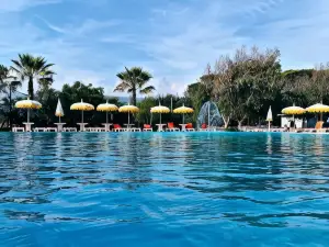 ลาปอร์ตา เดลโซเล