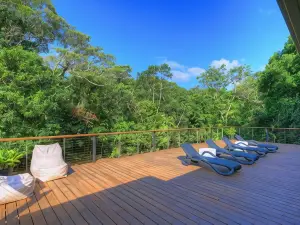 錢伯斯野生動物雨林旅舍