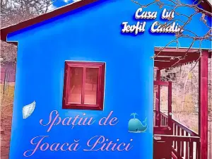 Leaganul Bucovinei Guest House