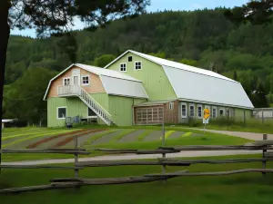 Ferme Jardin Potager