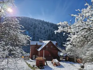 Pensiunea Cabana Viselor ,Apuseni