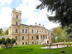 Pałac Biedrusko
