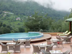Araiya Palampur