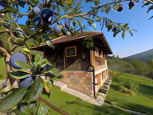 Ethno Village Bogut