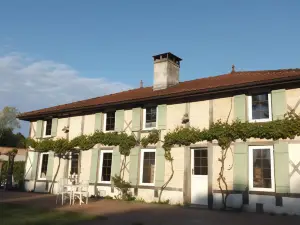 La résiniere de Pirique