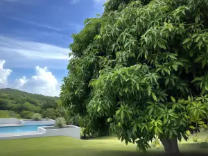 Lejos Eco Retreat