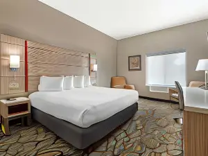Best Western Plus Albert Lea I-90/I-35 Hotel