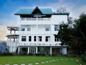 Tea Mount Forest