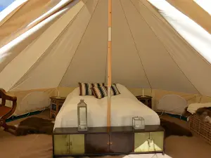 Camp Boutique- Glamping