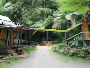 Rainforest Hideaway