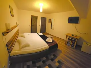 Casa la Saal - Seica Mare Sibiu