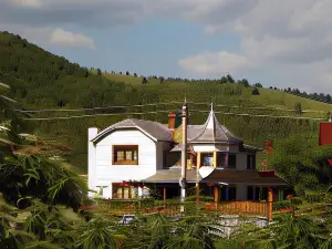 Pensiunea Casa Bianca - Bucovina