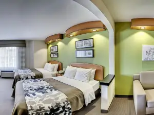 Sleep Inn & Suites