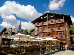 Hotel Galli