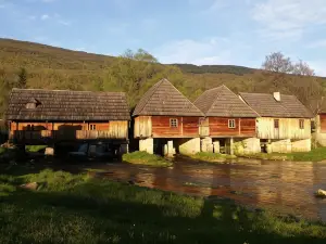Guest House Domig