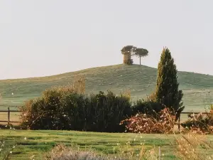 Relais Sant'Elena | Relais di Charme, Vacanze Bibbona Toscana