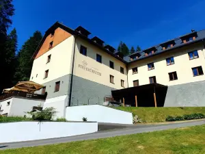 Wellness Hotel Pod Kycmolem