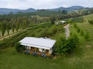 Borrodell Vineyard