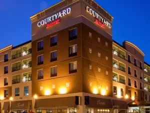 Courtyard Rochester Mayo Clinic Area/Saint Marys