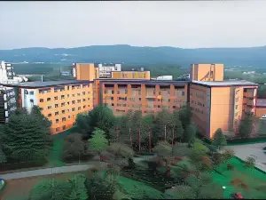 Hotel Daiheigen