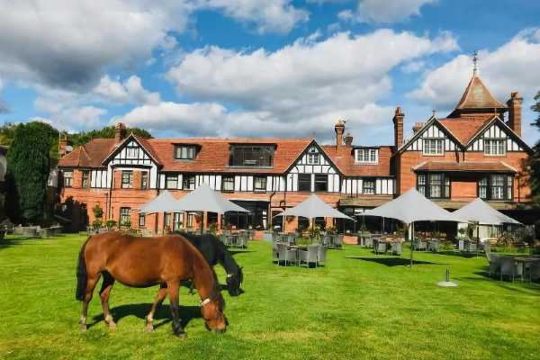 Forest Park Hotel Promo Code