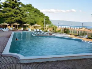 Hotel Drim