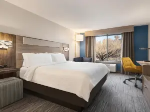 Holiday Inn Express & Suites East Greenbush(Albany-Skyline)