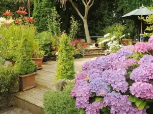 Stirabout Lane B&B