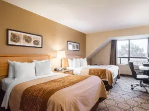 Comfort Inn Airport East